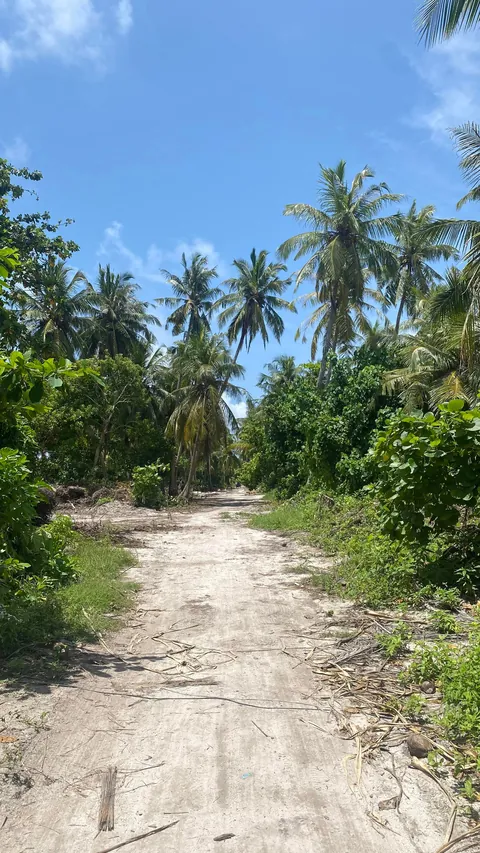 Spent a couple of days on a local Maldivian island and loved every second of it.