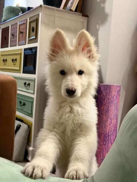 Excuse me, can I come up?