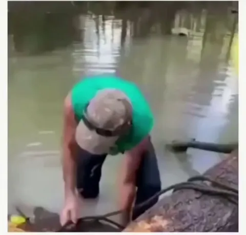 Croc interrupting some bloke’s work