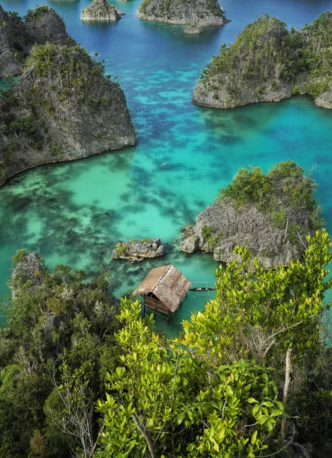 A photo I took whilst exploring the unreal bays along the coast of Indonesias West Papua