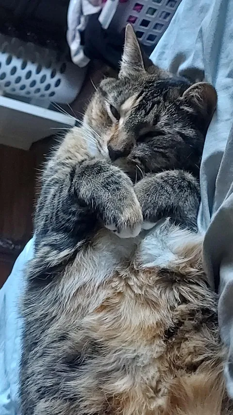 Trying to fool me with her cuteness