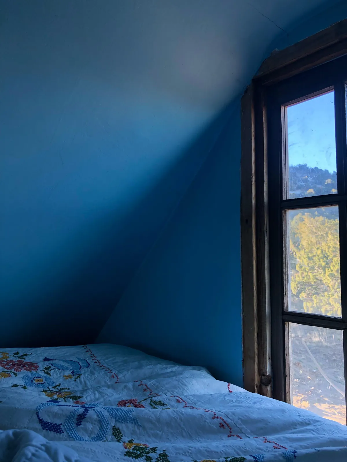 Once upon a time, I lived in a converted shed in New Mexico