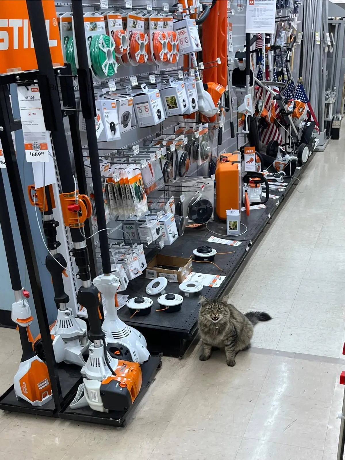 Stihl representative at the hardware store would like to talk to me about their equipment. 
