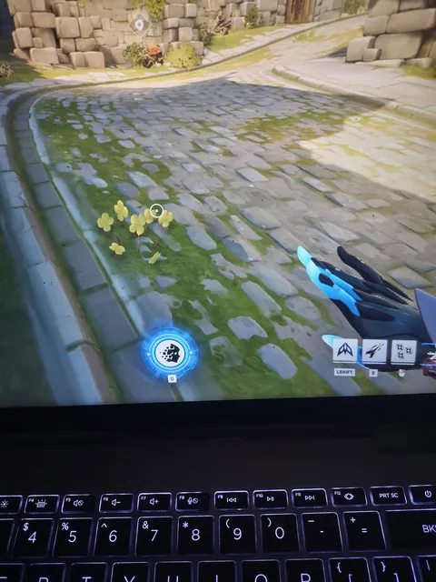 So I searched for and found all uses of this four leaf clover asset on Eichenwald, locations all pictured here.