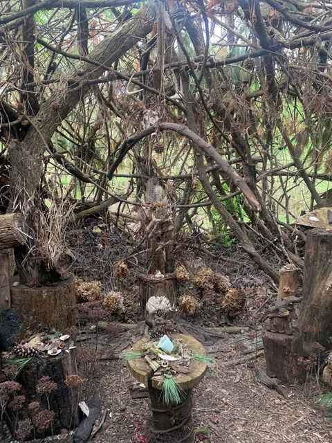 Found a Witch’s hut in the woods near my house