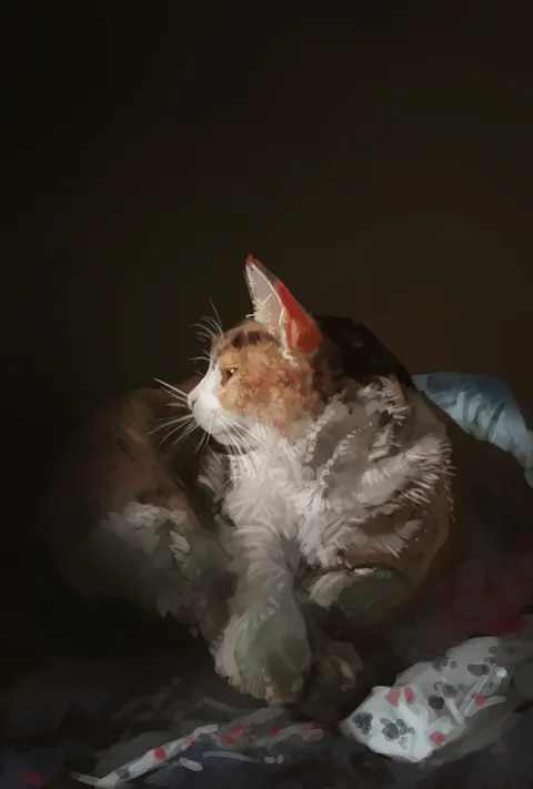 A quick painting of my cat, Hurricane047(me), Digital (Clip Studio Paint), 2024