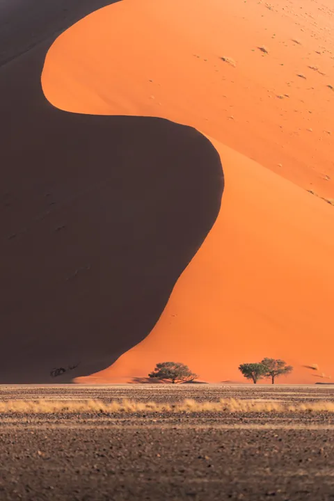 [OC] Dune curves in Sossusvlei, Namibia [3720x5580]