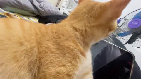 This baby just ate you. You are now dead