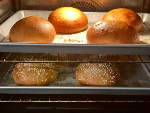 [Homemade] smash burgers