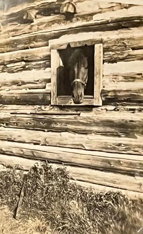 Photos from my great-grandmother’s 1920-1925 scrapbook (Wisconsin and Minnesota)
