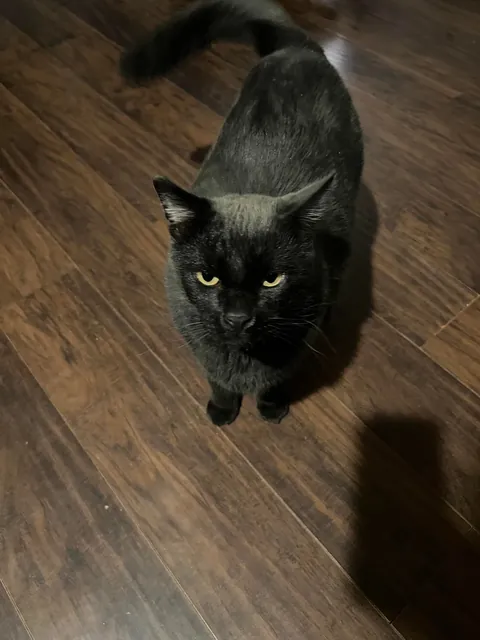 How did you get your void? 