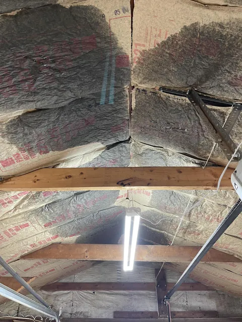 Wtf is going on? Garage insulation is sweating.