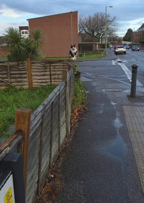 She almost slipped, almost!