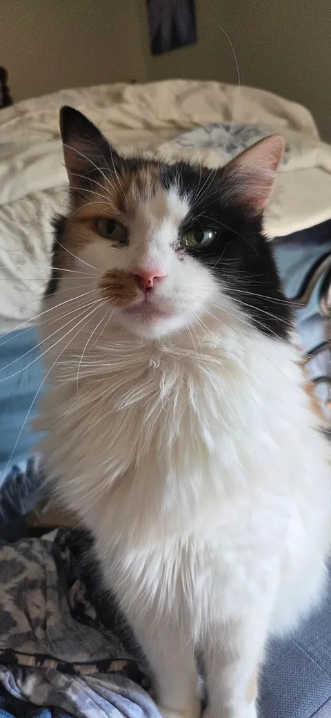 Goodbye to my First.