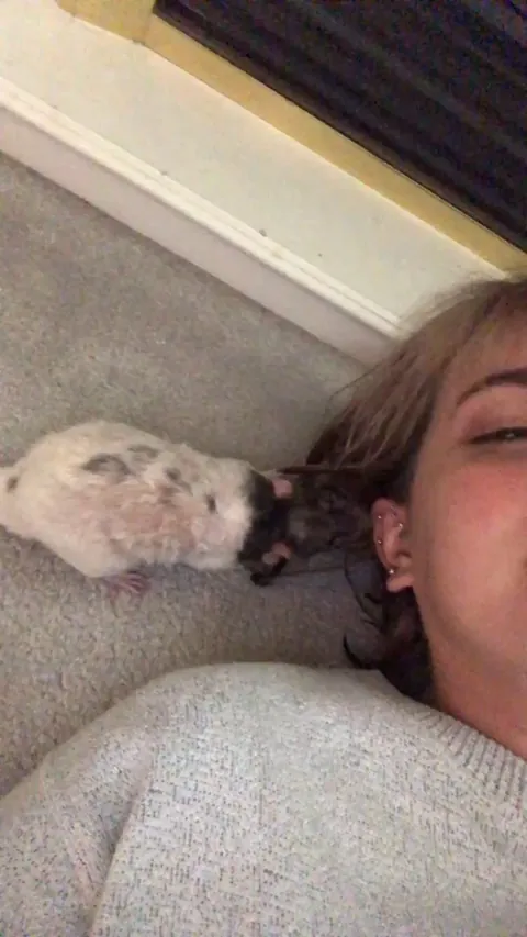 Henry wakes up and chooses chaos