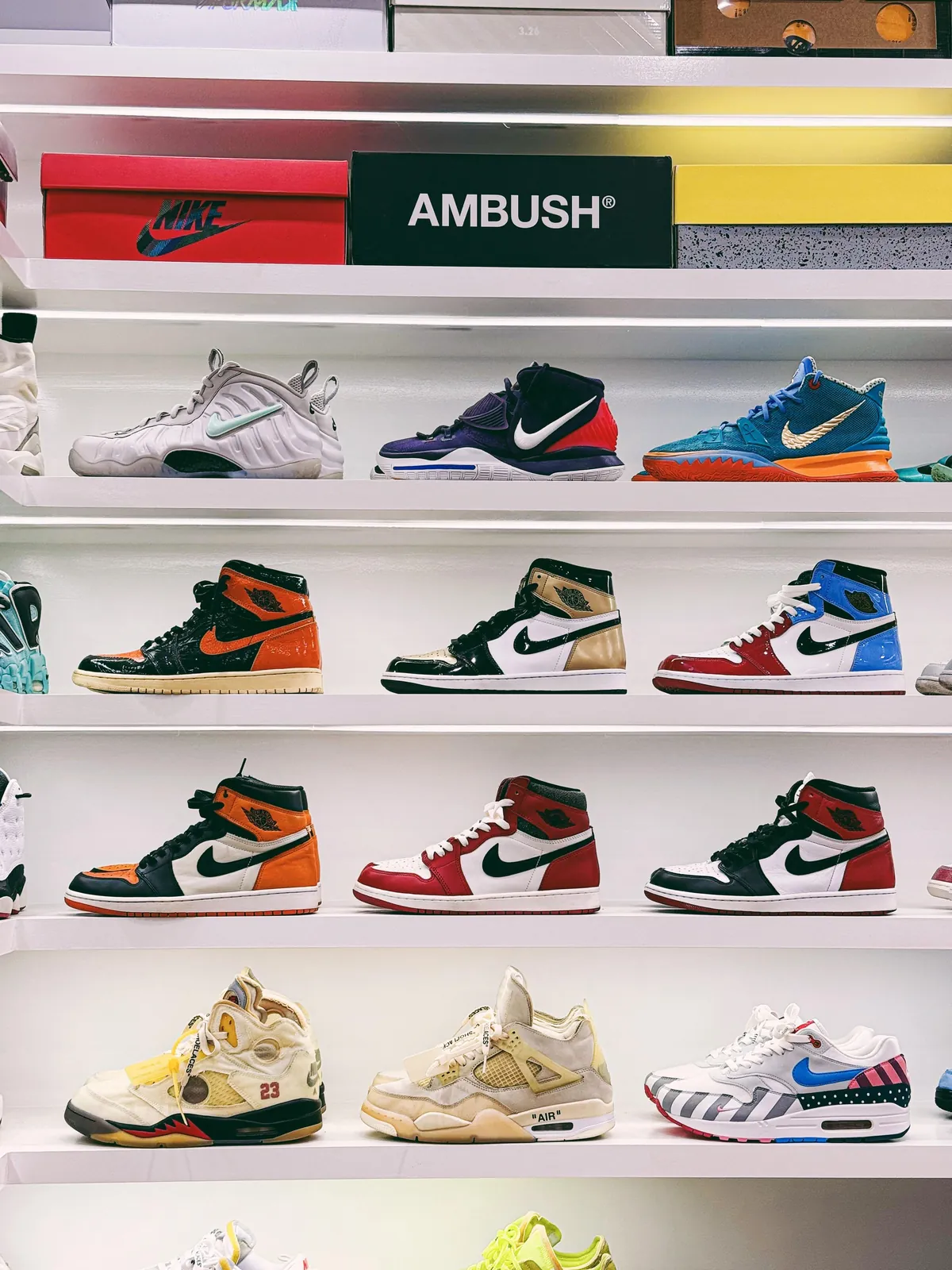 Updating the Collection