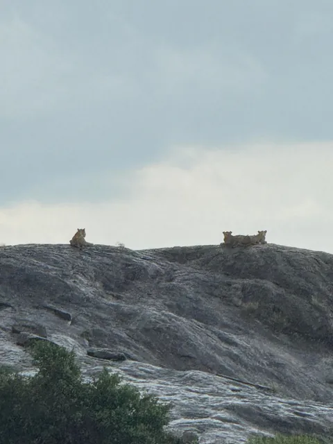 2 weeks of a dream in Tanzania