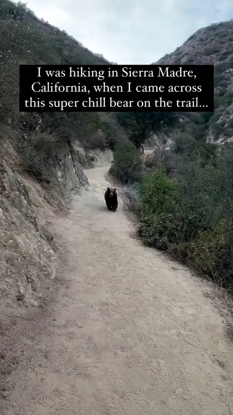 Good trail etiquette, acknowledge the person, stayed to one side and kept walking. -- PhamVictoria