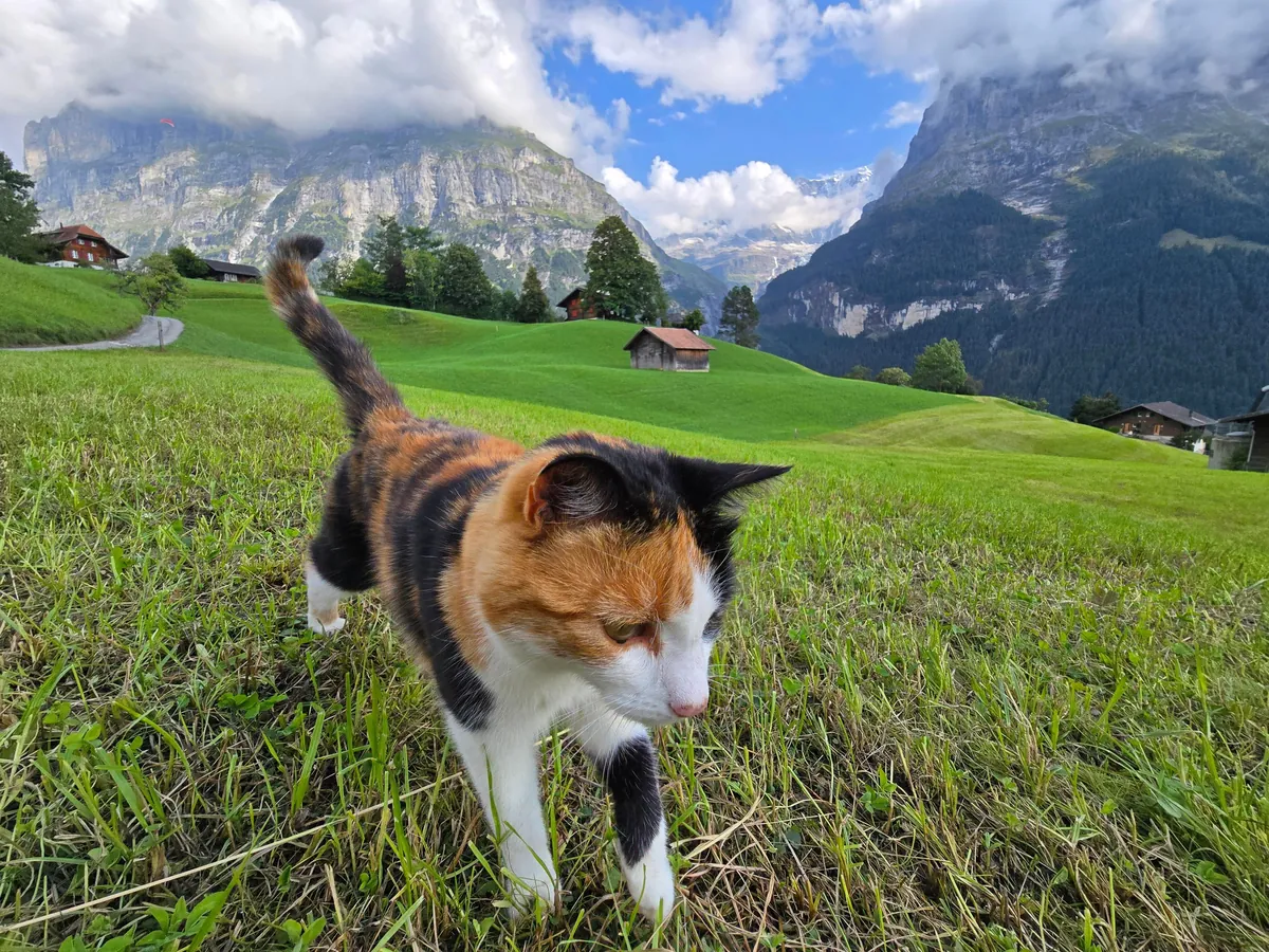 Some of my favorites from 2 weeks in Switzerland