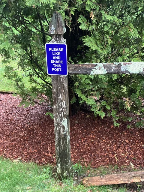 A post that wants to be liked and shared