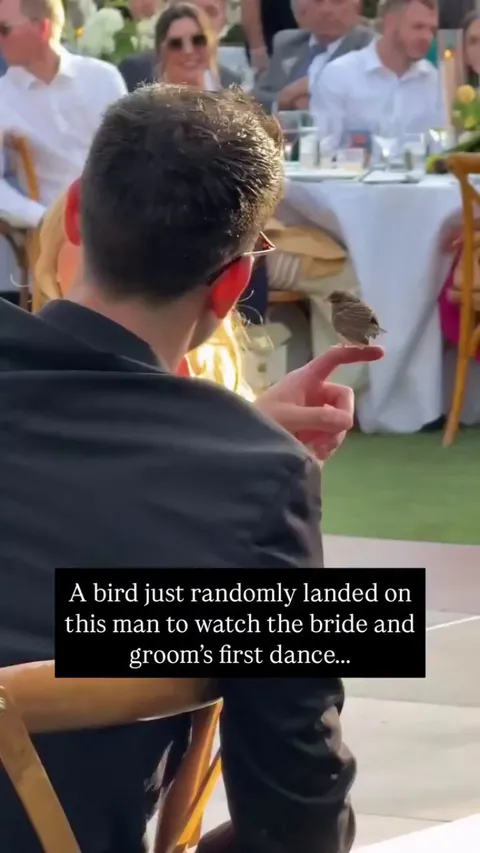 Bro is a Disney Prince -- jjchristman