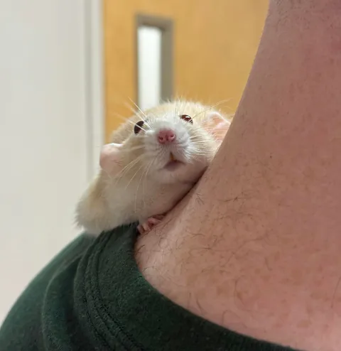 Everyone at the vet says Naga is their favorite