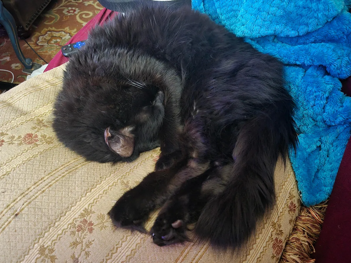 Ex- Roommate left her