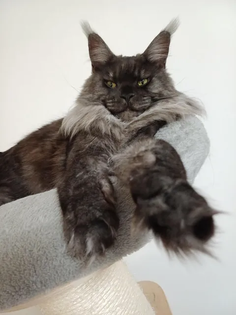 Hi reddit, it's Théoden. Did not see you for a long time