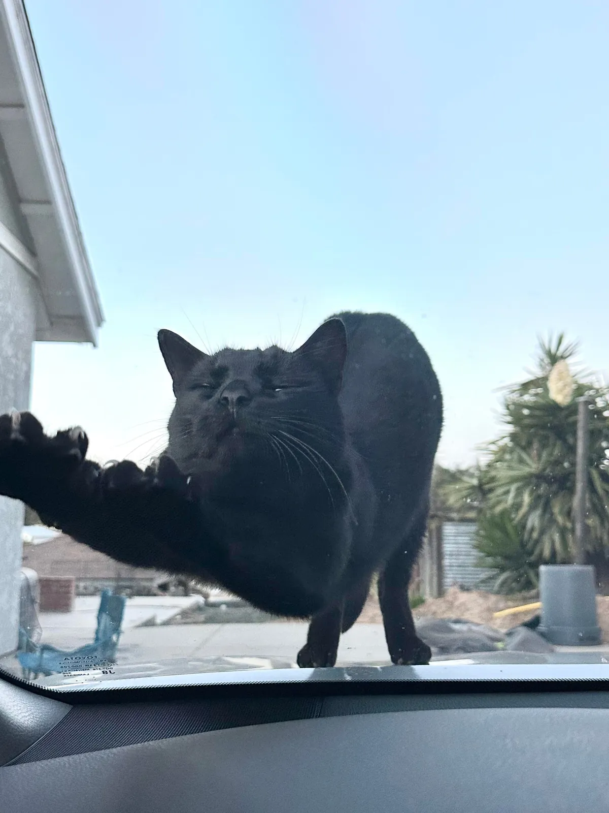 My handsome waiting for me to get out the car 