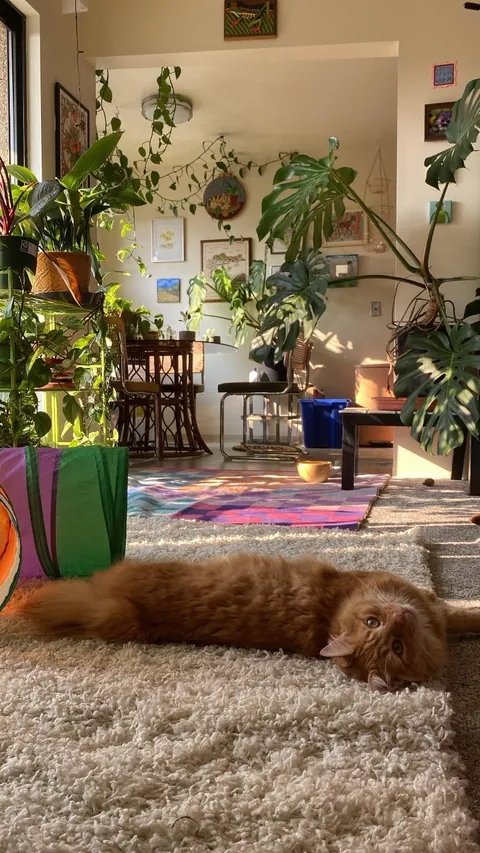 I’m 30 and finally able to live on my own in my own place ❤️