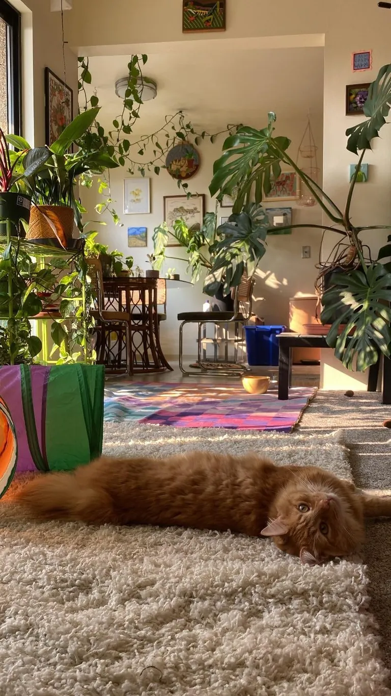 I’m 30 and finally able to live on my own in my own place ❤️