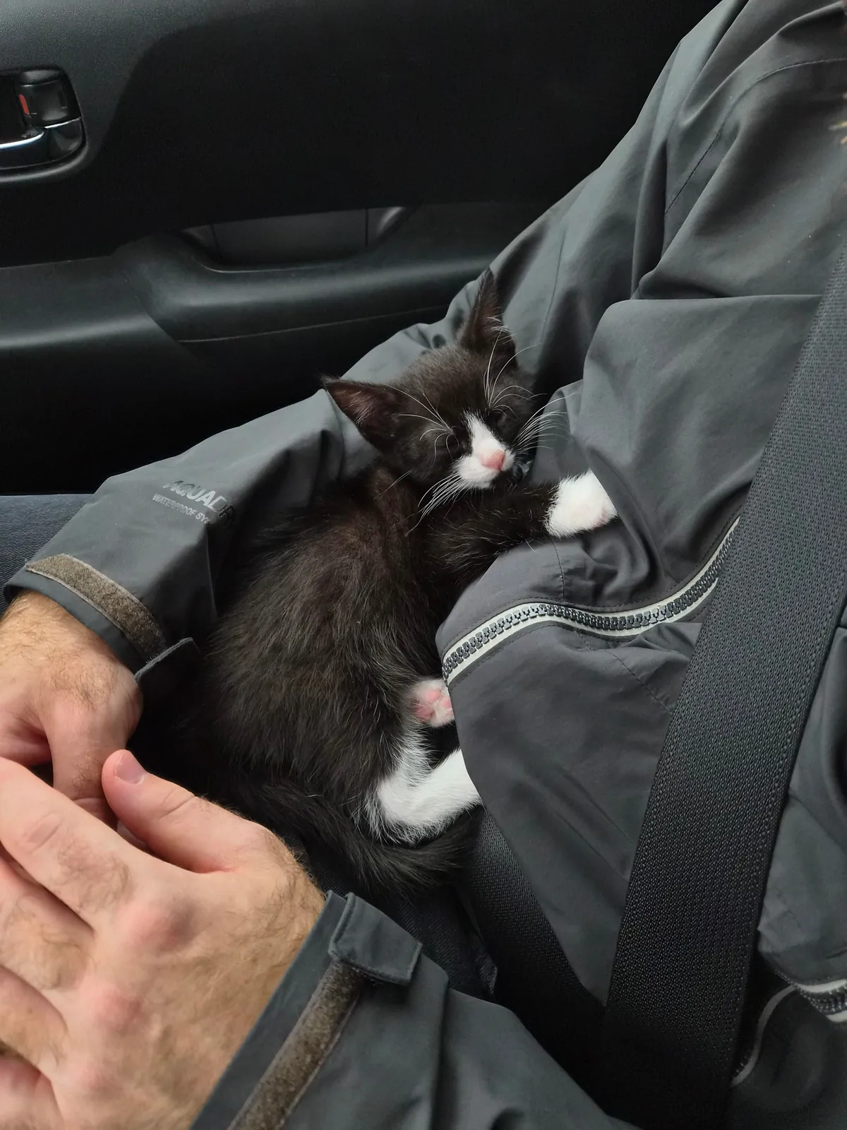 This is our new tiny son, Leo 🦁