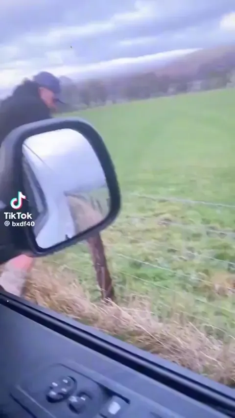 Running to be a bro and flip the sheep