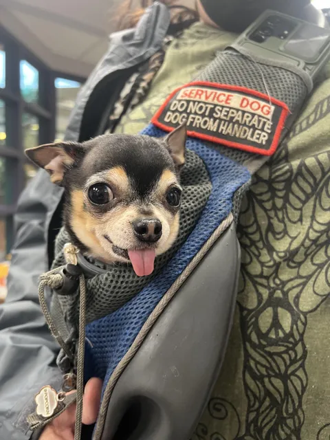 Got to meet this sweet guy