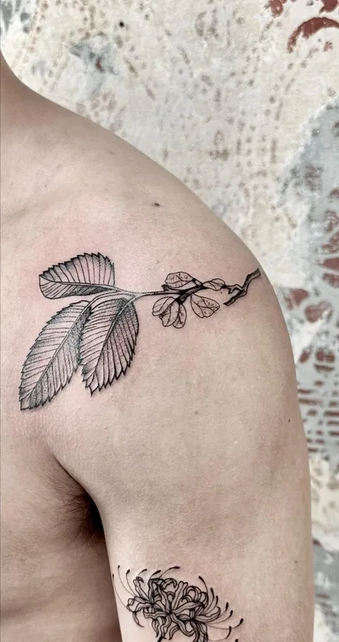 All my tattoos, done by the wonderful donota tattoo (Trieste, Italy)