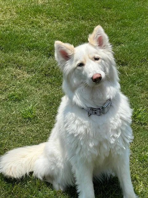 I promise she’s real!!