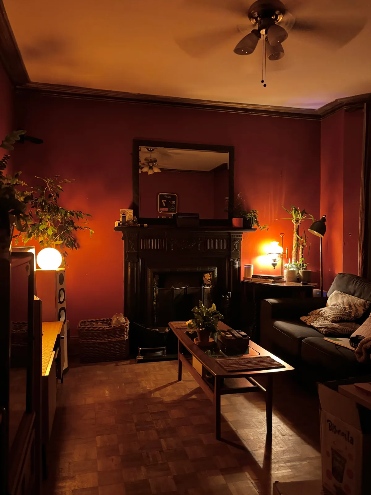 Recently moved, super happy with the progress.