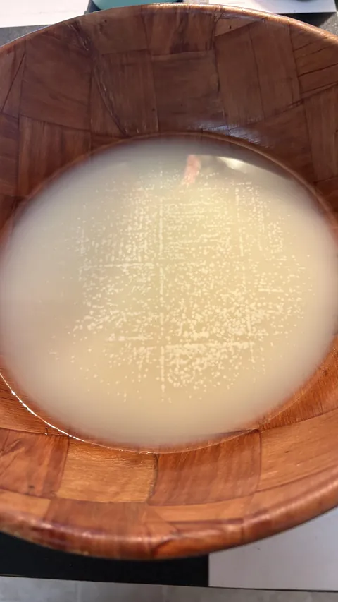 Yeast copied the square pattern on my bowl while activating