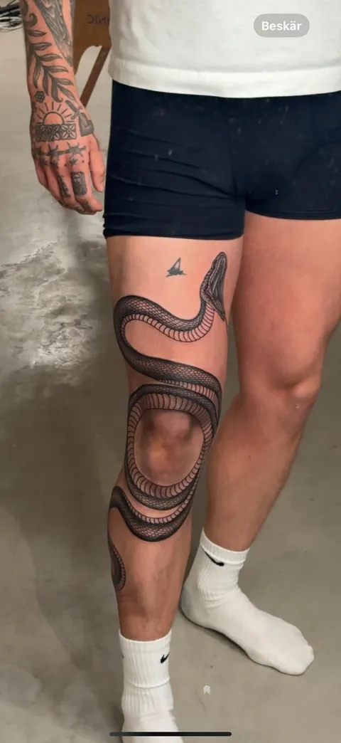 Everything by @Hbnielsentattoo in Sweden (progress so far)