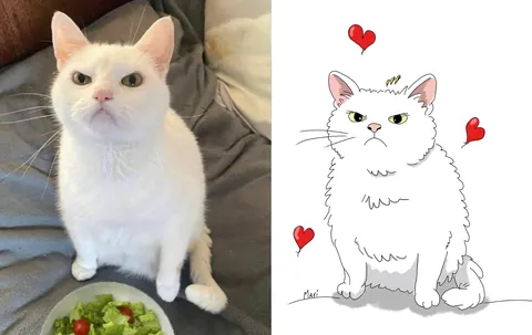 Today is my day off and I want to draw, share a picture of your cat and I'll draw one back!