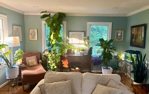 My plant 🪴meditation🧘🏼‍♀️reading 📚nook ✨