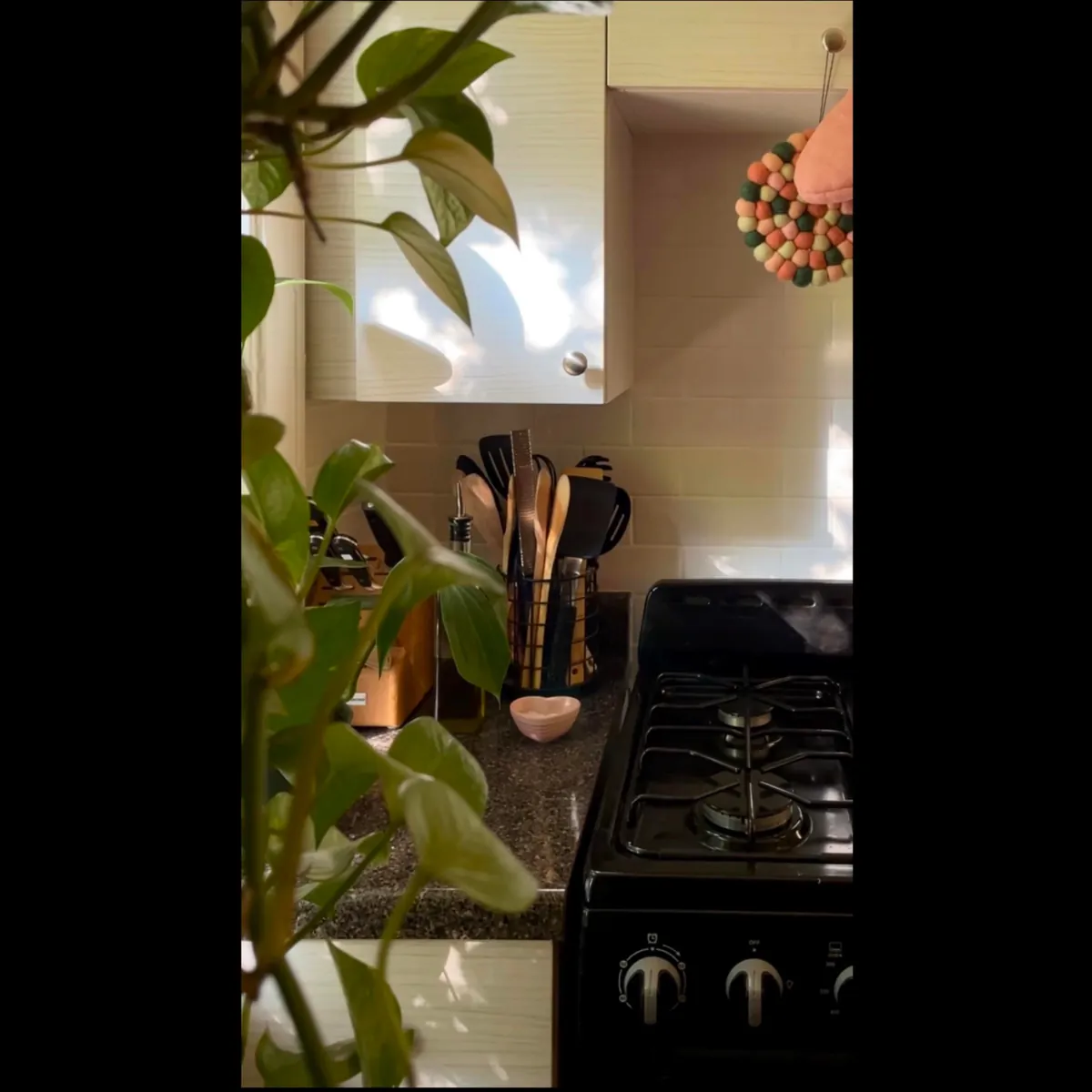 Finally finished decorating my cozy garden unit in Chicago, IL!