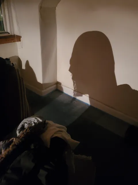 My chairs shadow looks like a bald man with a goatee.