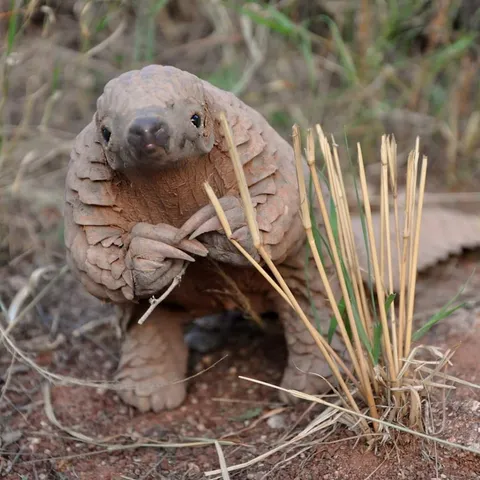 Excuse me, do you have a moment to speak about the environment...