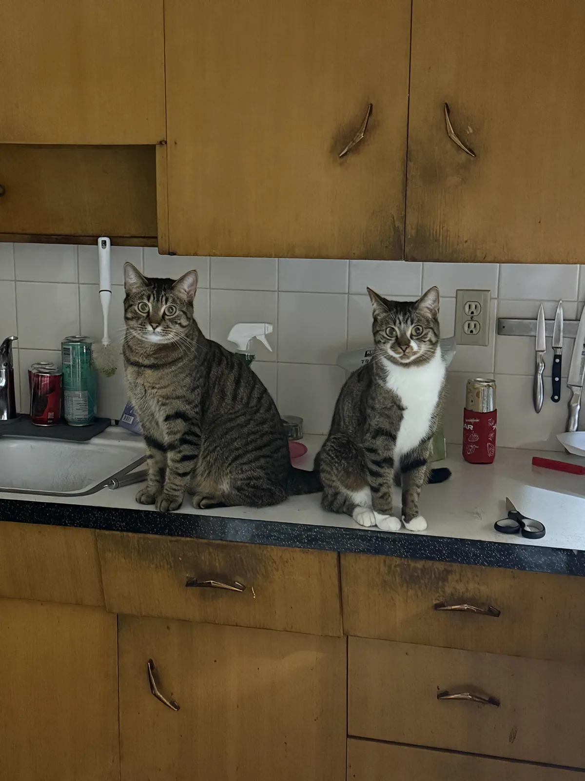 What are they up to?