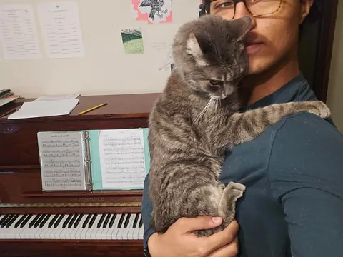 Tribute to my boy Franklin, my dearest friend. My family got him when I was three years old, I've known him my entire life. We had to say goodbye to him yesterday. He fell asleep forever in my arms. I miss you buddy.