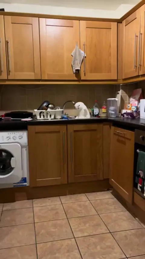 A very special little fella