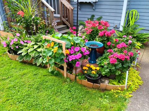 Our flowers by our front door this year.