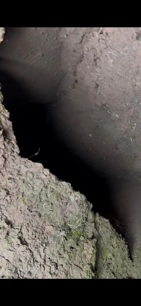 Found a sinkhole at work, found a bunker inside the sinkhole.