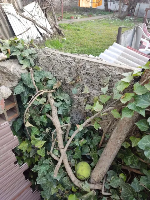 Just found out i have asbestos in my fence and my dog has been standing and scratching it for 2 years.